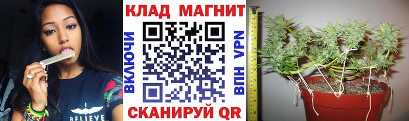 Виды наркотиков купить Красноярск ГАШИШ  A-PVP  МЕФ  Экстази  Канабис 