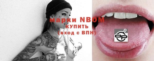 индика Мегион