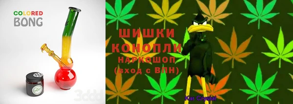 гашик Медвежьегорск
