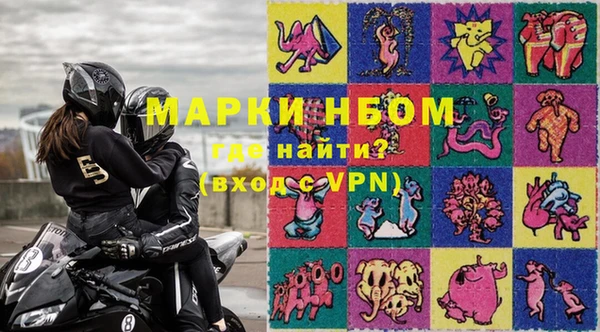 индика Мегион