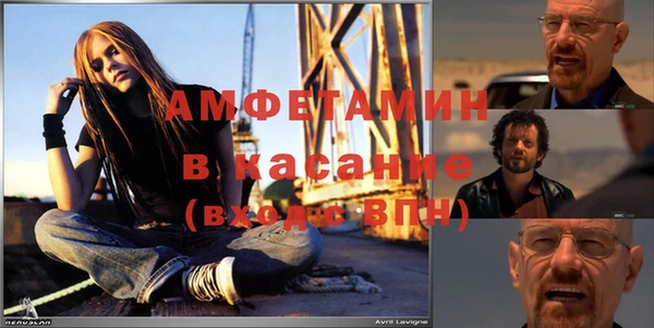 индика Мегион