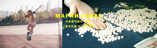 индика Мегион