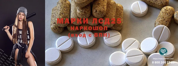 индика Мегион