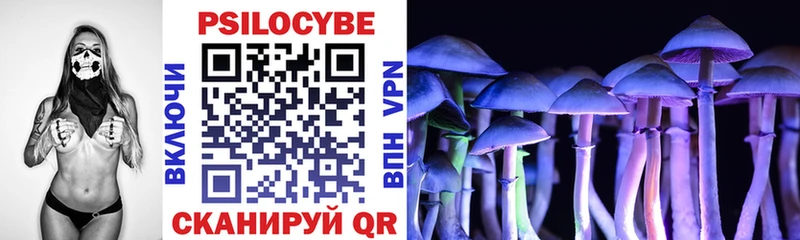 Галлюциногенные грибы Psilocybe Красноярск