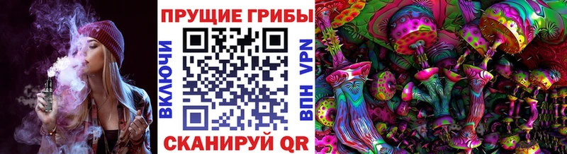 Псилоцибиновые грибы Magic Shrooms  Красноярск 