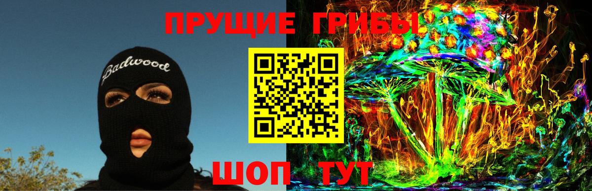 Россия  Галлюциногенные грибы MAGIC MUSHROOMS  хочу   Вход с VPN 